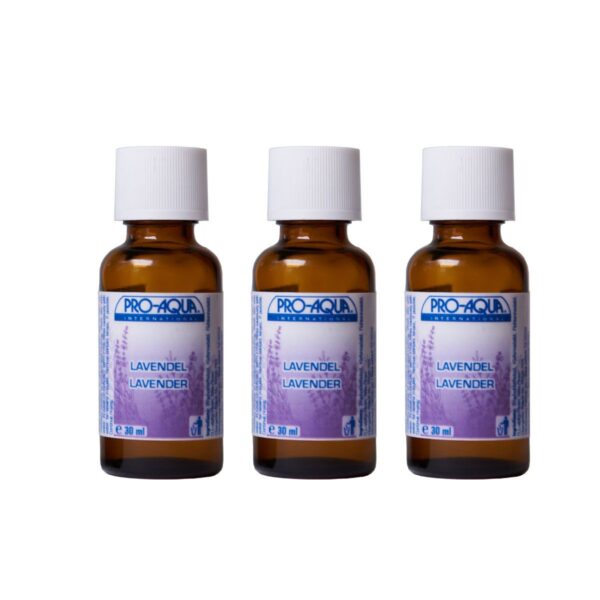 Pure Naturals Duftöl Lavendel Produktbild